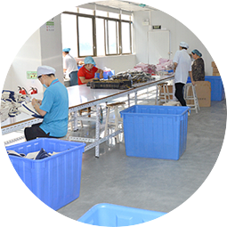 Standard production process