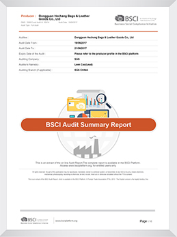 BSCI International standard
